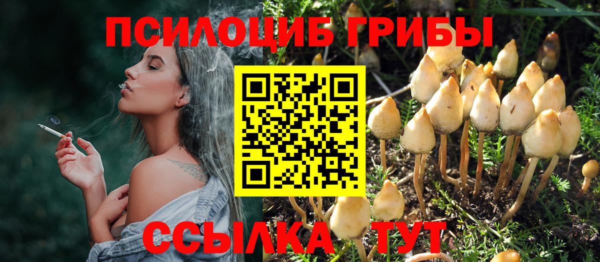 Галлюциногенные грибы Psilocybine cubensis Орехово-Зуево